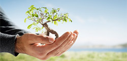 mission of khidmat e khalq trust india